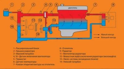 Как циркулирует жидкость в системе охлаждения двигателя?