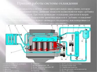 Как циркулирует жидкость в системе охлаждения двигателя?