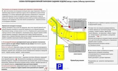 Как правильно парковаться для начинающих?