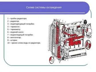 Из чего состоит система охлаждения двигателя?