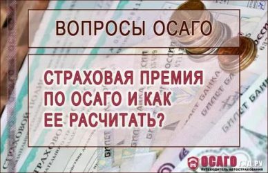 Страховая премия ОСАГО что это?