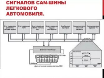 Can шина автомобиля где находится?