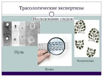 Экспертиза целого по частям образец